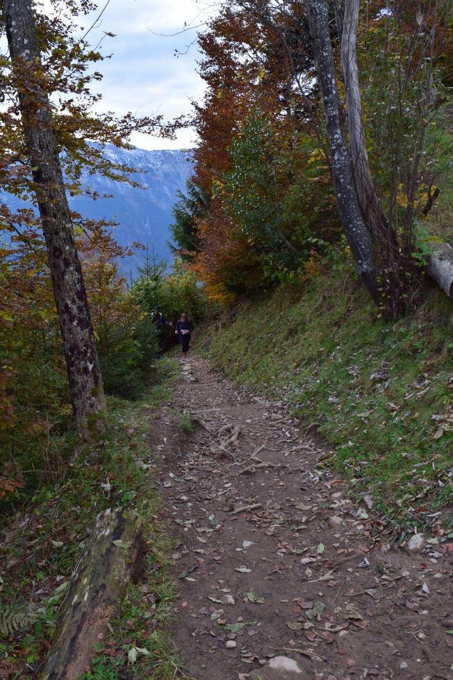 rund um unterseen 2016