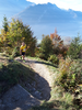 Harder Kulm